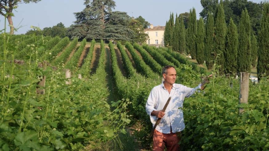 Vigneron bio Château Couronneau