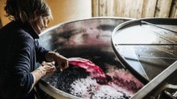 Anne-Sophie Bodson, domaine du Père Benoit, Languedoc, bio