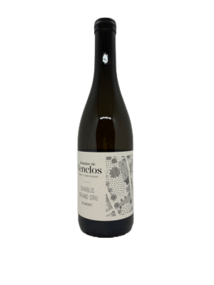 Chablis Grand Cru "Blanchot" 2022 - Domaine de l'Enclos